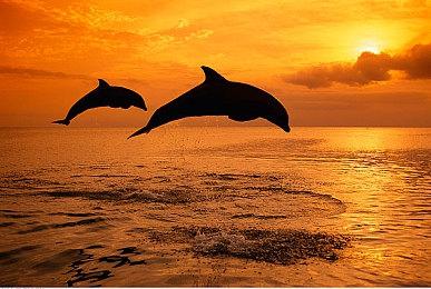 新视频演示《审判之逝：湮灭的记忆》英文配音效果