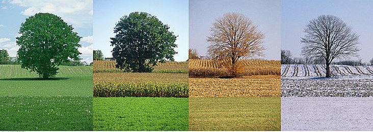 传PlayStation Studios在打造一款潜行游戏 合金装备5+细胞分裂缝合体